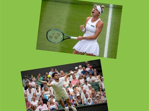 Wimbledon 2023 Alcaraz, Vondrousova