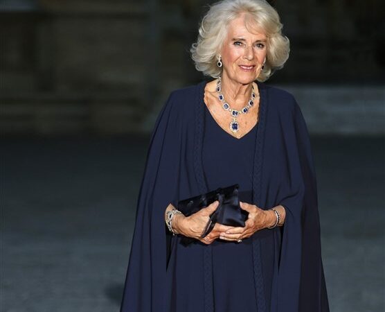 Dior Haute Couture Creations for Her Majesty Queen Camilla @ GettyImages, cover