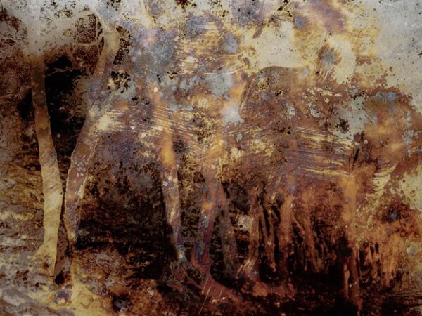 Joan Fontcuberta. Cultura di polvere - Trauma #1838, light box 100x150 cm, stampa INK JET su pellicola Backlight montata su plexiglass 3mm in scatola di legno nero (profilo 3 x 7 cm), 2022 - © ICCD Roma